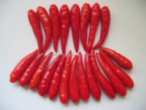 Kırmızı büyük, küçük biber taze, dondurulmuş, kurutulmuş yüksek kalite, en ucuz fiyat şimdi - Product Image 3