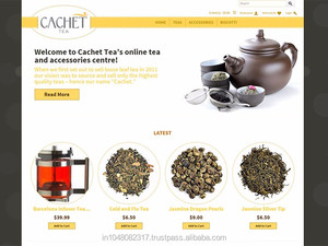 Web Development <strong>and</strong> Designing Service Provider Professional <strong>Website</strong> <strong>Design</strong> Online Stores