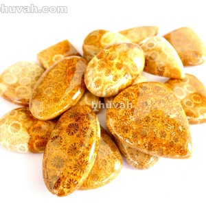 Bombeli değerli taş fosil mercan - Product Image 1