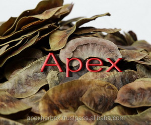 Senna Cassia Angustifolia bakla kurutulmuş organik TBC - Product Image 4