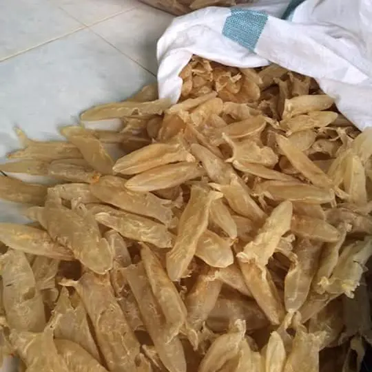 DER BESTE PREIS FISH MAW/FISH MAW ZU VERKAUFEN/WHATSAPP 84 845639639