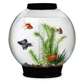 Pote de peixes decorativo para aquário, tigela de vidro de aquário redondo, venda quente de estilo único