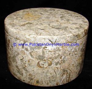 Oyma doğal mermer kavanoz fossil corel mermer el oyma kapaklı şekerleme zencefil takı depolama kavanoz biblo konteyner teneke kutu - Product Image 6