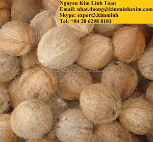 SEMI HUSKED COCONUT/SEMI HUSKED MATURE COCONUT - Product Image 1