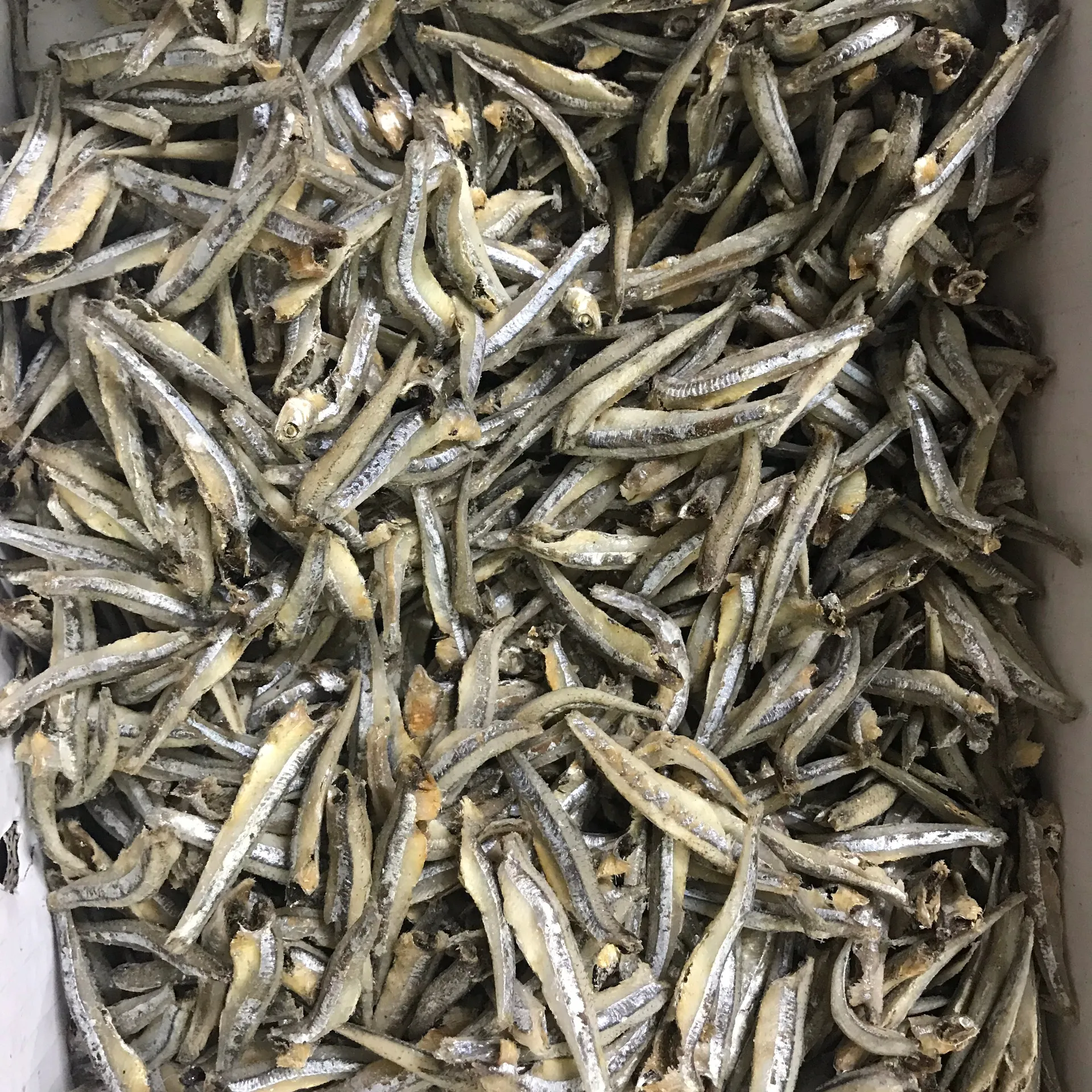 ปลากะตักแห้ง/ปลากะตักแห้ง/ที่มีคุณภาพสูงและราคาที่ดีที่สุด SPRATS