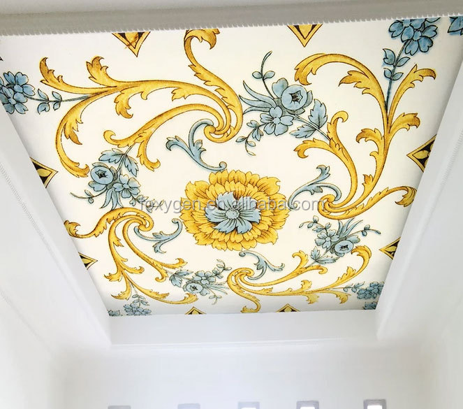 Film de plafond tendu 3D
