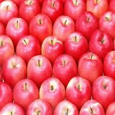 أعلى درجة التفاح الأحمر الطازج فواكه حلوة تفاح فوجي
