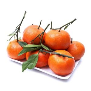 新鮮カラマンシ/新鮮タンジェリン高品質Msホリデー