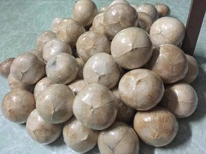 KOKOSNUSS FRISCH VON VIET NAM/Frische Kokosnuss süß, nahrhaft und trink fertig