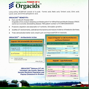 Thức ăn gia súc phụ gia cho gia cầm và nuôi trồng thủy sản cho ngựa gia súc lợn cá chó - Product Image 2