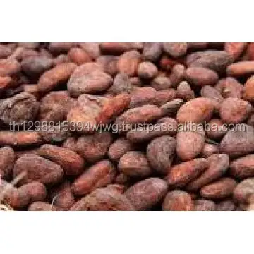 GUT verkaufen Kakaobohnen/Kakao (Bio-zertifiziert)