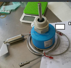 Công Tắc Mái Chèo Xoay FTE30-AA21 ENDRESS + HAUSER, Công Tắc Cấp Độ Soliswitch FTE30 - Product Image 1