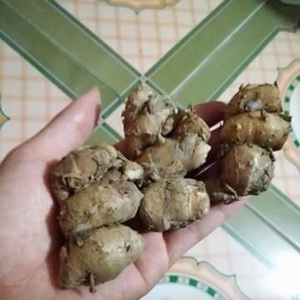 Doğal Kaempferia Galanga/ Galangal-tatil için en iyi kalite - Product Image 3