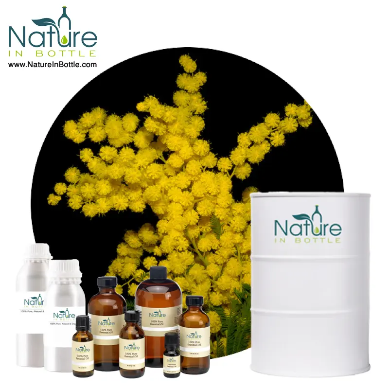 Mimosa — huile essentielle organique, essence essentielle, snacks d'acacia-100% Pure et naturelle, vente en gros, prix en vrac