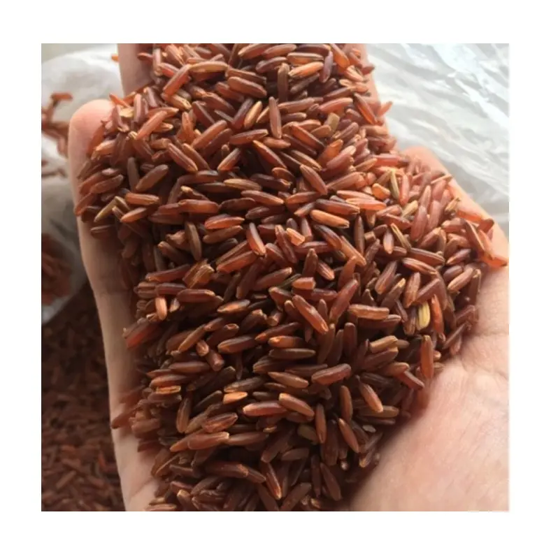 Arroz marrom cru de alta qualidade-alta proteína para perder peso e ginástica-produto do vietnã//mr alexie (whatsapp 84 367585305)