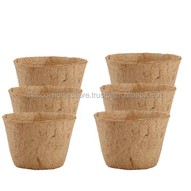Seed Germination cups for plant