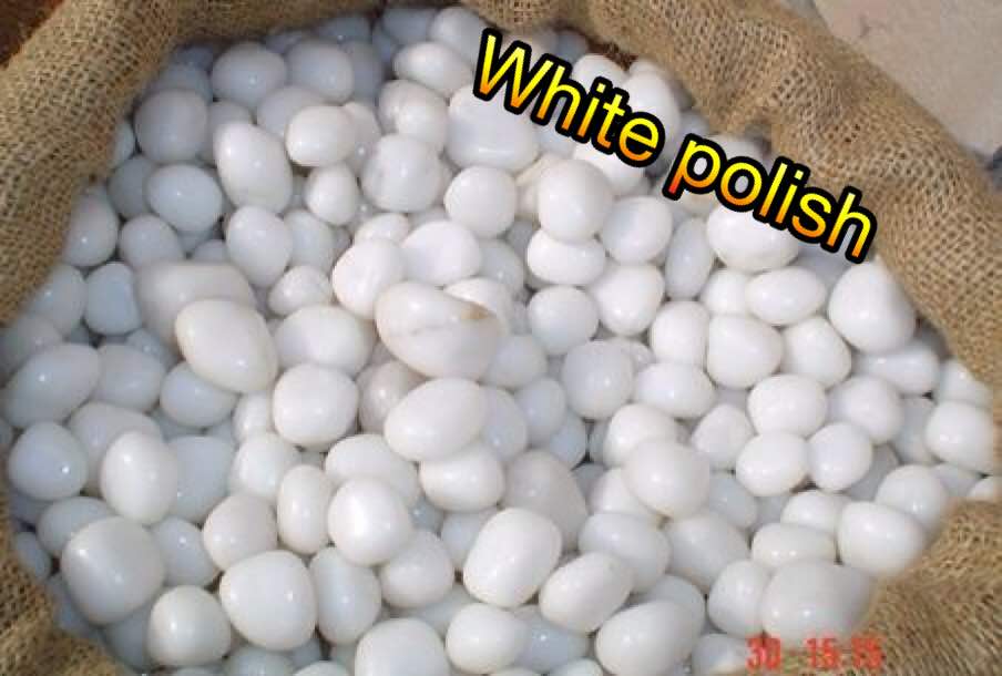 สีขาว