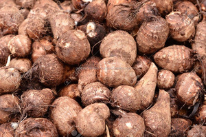 Vietnam taze tarzı en ucuz fiyat şimdi Premium kalite Taro! - Product Image 4