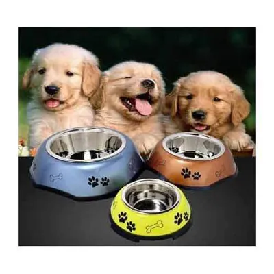 Cuenco de acero inoxidable para perros y gatos, productos coloridos para mascotas, gran calidad