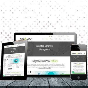 Top Modern on Demand Ecommerce <strong>Website</strong> <strong>Design</strong> <strong>and</strong> Mobile App by ProtoLabz EServices - Product Image 2