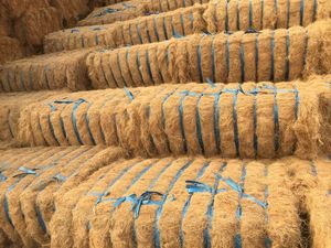 Fibra naturale fibra di cocco lunga per la lettiera animale a bassa umidità fibra di cocco di buona qualità Eco-friendly materia prima di cocco prodotti
