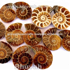 สูงสุดขายดีผู้ใช้ AAA คุณภาพธรรมชาติ Ammonite Fossil Cabochon - Product Image 2