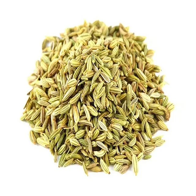 Semi di finocchio freschi puri al 100% per l'esportazione di semi di finocchio di qualità in vendita fornitore all'ingrosso indiano di migliore qualità in India