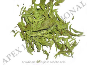 Stevia <span class=keywords><strong>Rebaudiana</strong></span>ステビア葉有機ステビア葉粉末