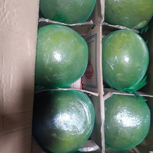 Fresh Grapefruit / Red Grapefruit <strong>Pomelo</strong> in 2020 - Product Image 2