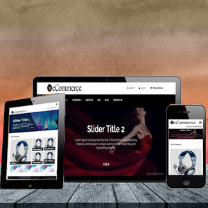 Online mağazalar için en iyi PHP komut dosyası/PHP web sitesi-ProtoLabz eServices
