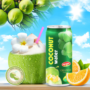 Natürliche Kokosnuss produkte, JOJONAVI Dosen 500ml, geeignet für alle Altersgruppen