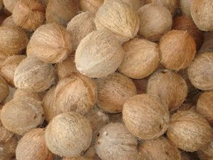 Coco deshuesado de alta calidad y al mejor precio/coco semidescascarillado