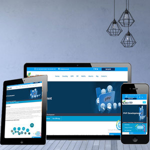 Hindistan'da özel PHP Web app hizmetleri şirketi-Protolabz eServices