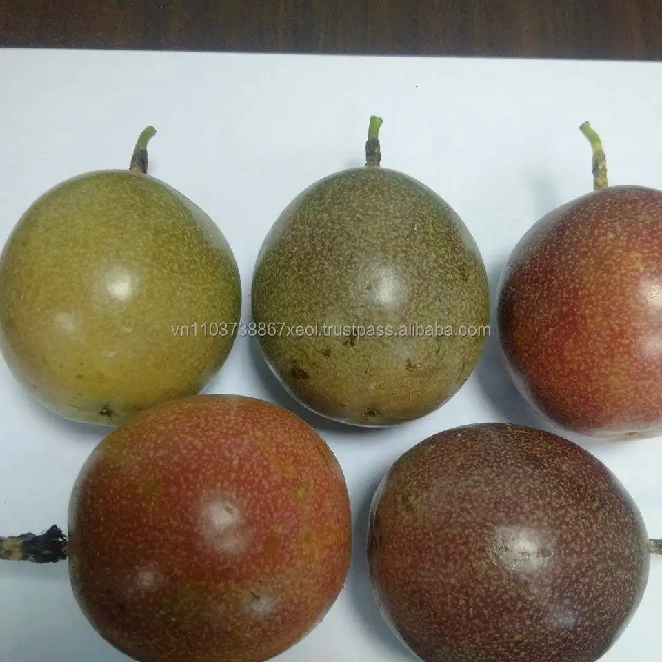 Best preis Fresh Dark Purple Passion Fruits Import in 2020