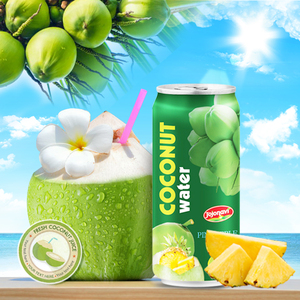 Natürliche Kokosnuss produkte, JOJONAVI Dosen 500ml, geeignet für alle Altersgruppen