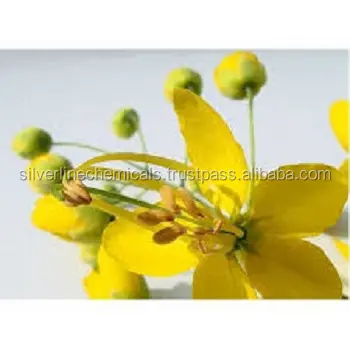 Cassia Angustifolia estratto