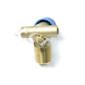 用于天然气车辆NGV GNV GNC的天然气单向充气罐阀FC CTF-3 CNG气缸气阀 - Product Image 6