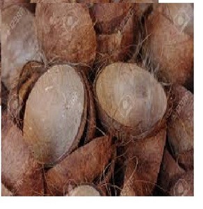 Kokosnuss schale natürlich BESTE QUALITÄT