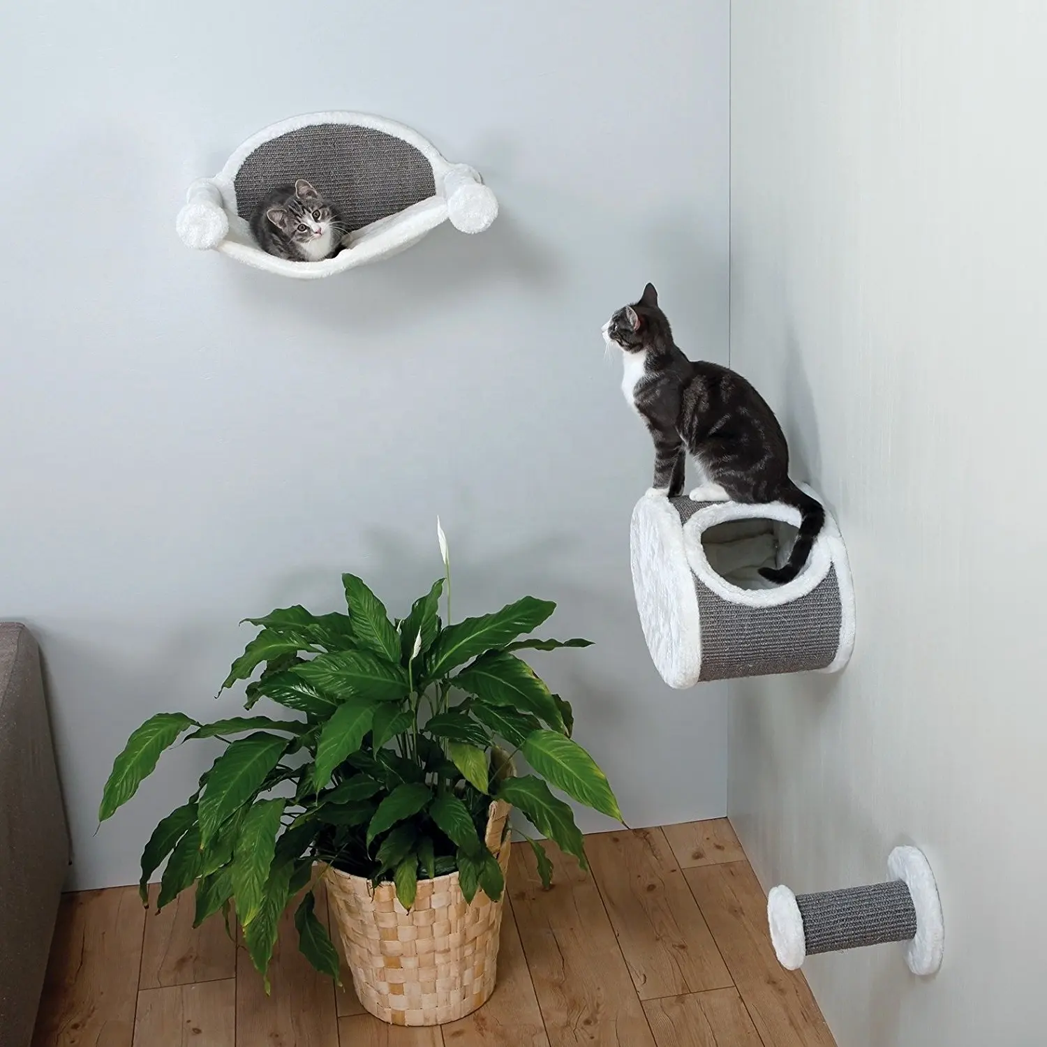 Produk Hewan Peliharaan Baru 2022 Rak Kucing Terpasang Di Dinding Set Furnitur Kucing