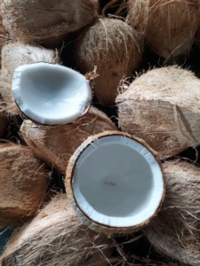 ベトナムからの茶色のココナッツ-厚いココナッツの肉 - Product Image 4