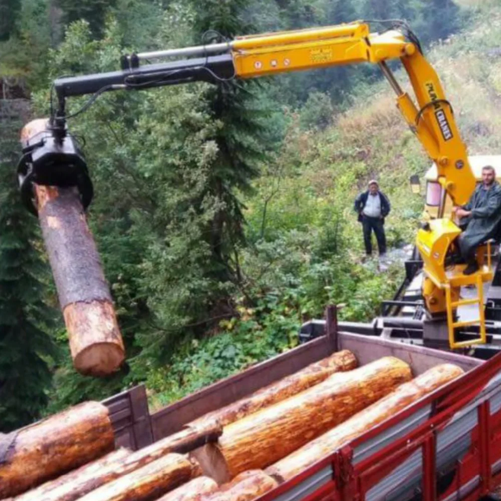 Bois grue de chargement