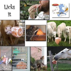 LICKING SALT for Animals, Birds, Cattle Farms, Horses, Livestock. SALT <strong>LICKS</strong> Natural <strong>Rock</strong> Salt <strong>Lick</strong> - Product Image 2