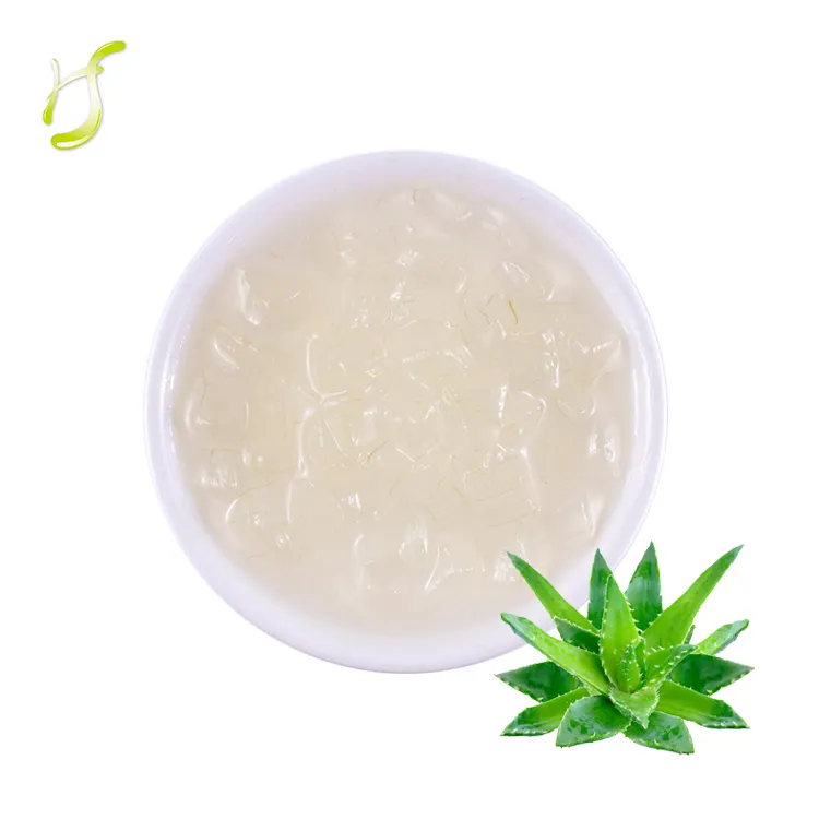 HALAL HACCP ISO-Zertifizierung Taiwan Bubble Tea Topping Zutaten Honig Aloe Vera