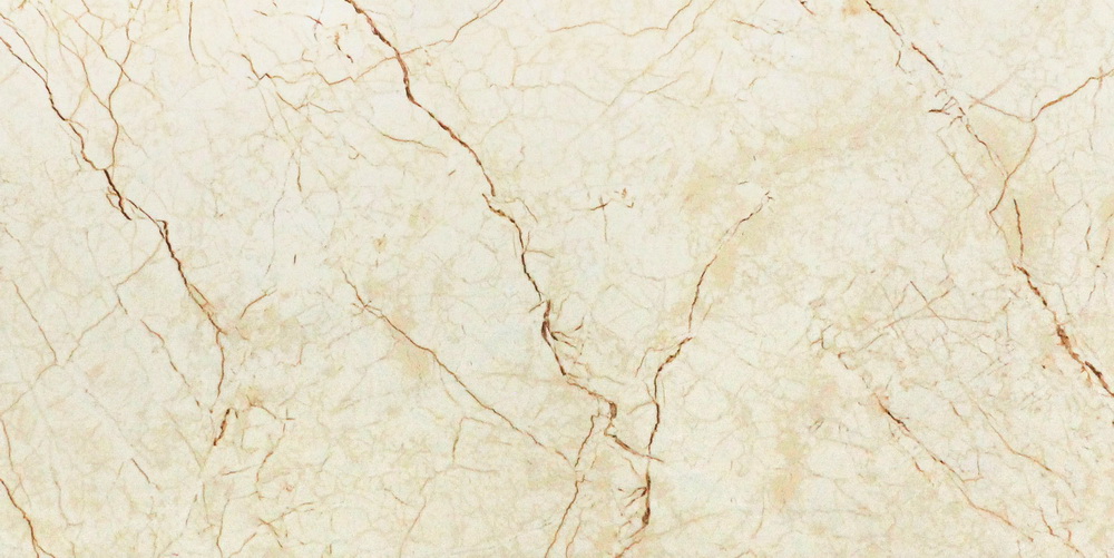 Y8401
