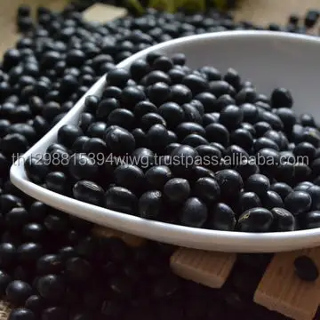 Wholesale chinese hot sale organic black kidney beans price