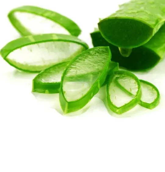 Raw material Aloe Vera/ Aloe Vera leaf/ Vivian Ha +84338820462