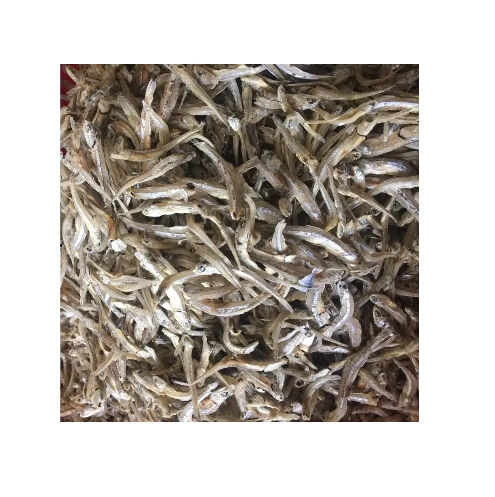 DRIED ANCHOVY CHEAP PRICE 2021 PRODUCTION