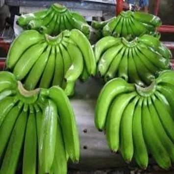 fresh bananas