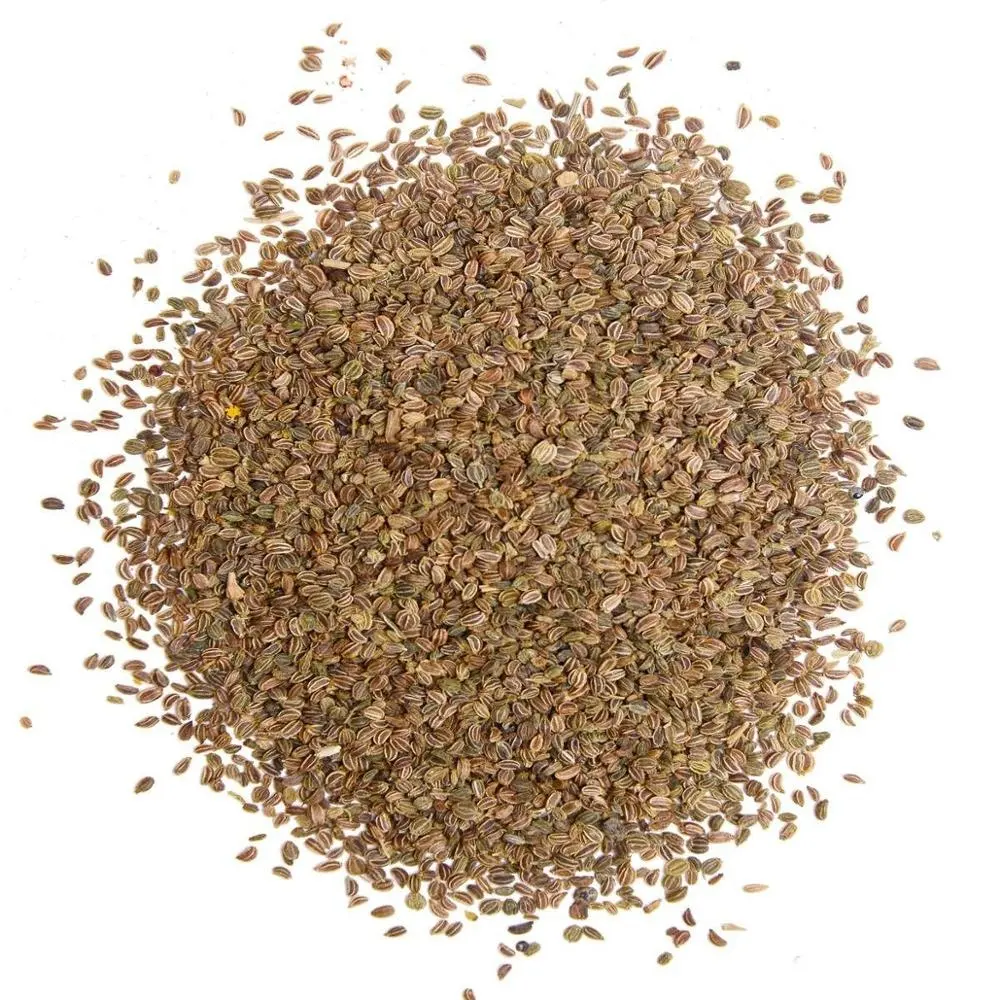 Aceite de semilla de apio 100% puro y Natural, fabricante de aceite de semilla de apio, precio al por mayor