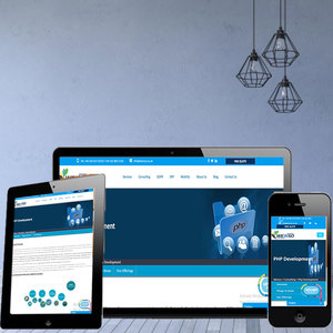 ProtoLabz tarafından özel PHP web sitesi ve uygulama ve PHP proje yönetimi hizmetleri